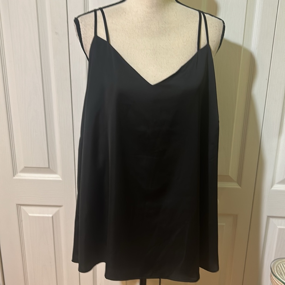 Skiies are blue double strap Camisole